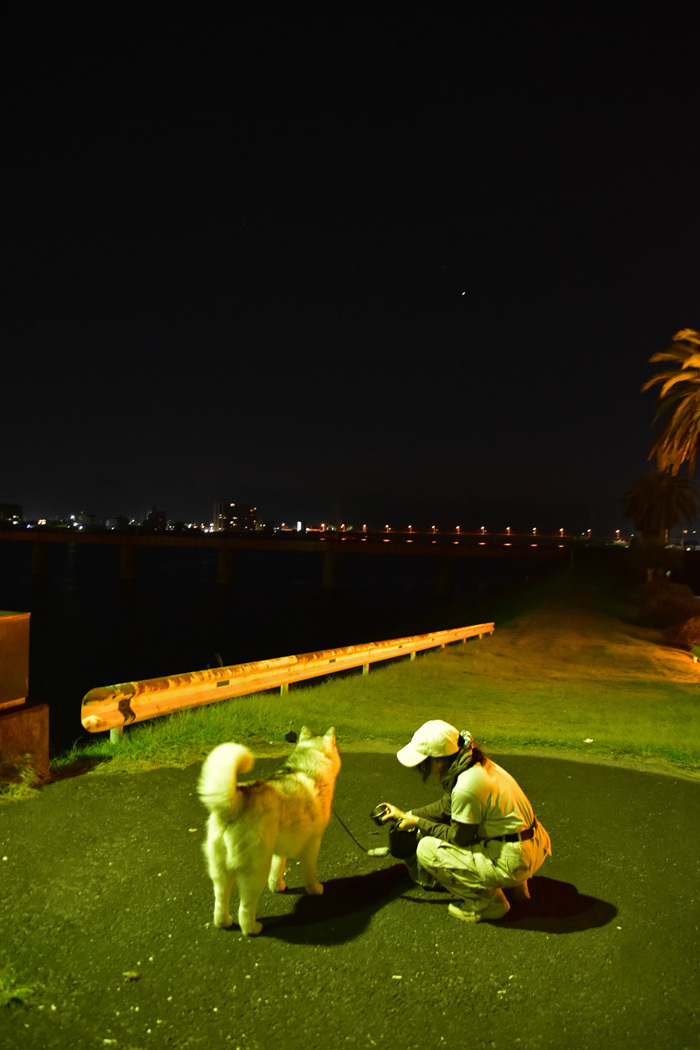c0049299_22162475.jpg