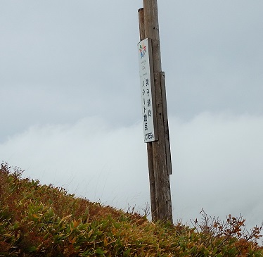e0077899_16531345.jpg