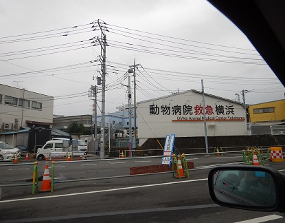 e0077899_17145546.jpg