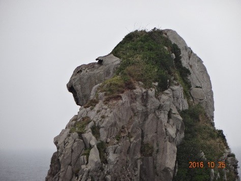b0273309_14552927.jpg