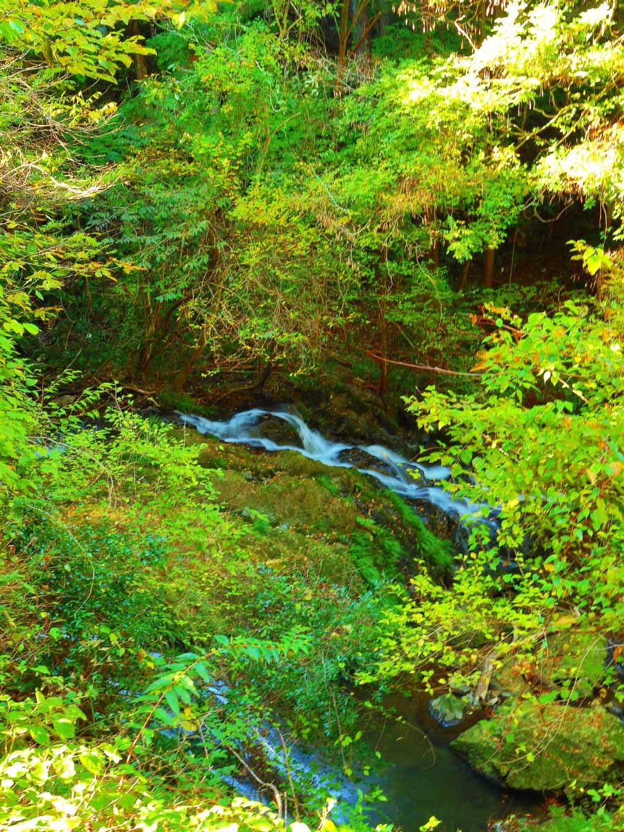 e0009009_23290042.jpg