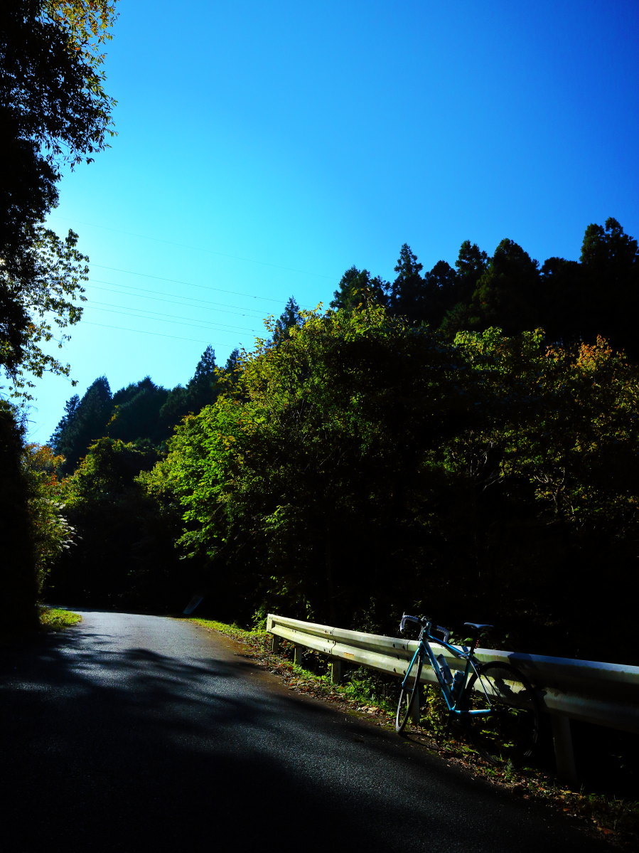 e0009009_23291342.jpg