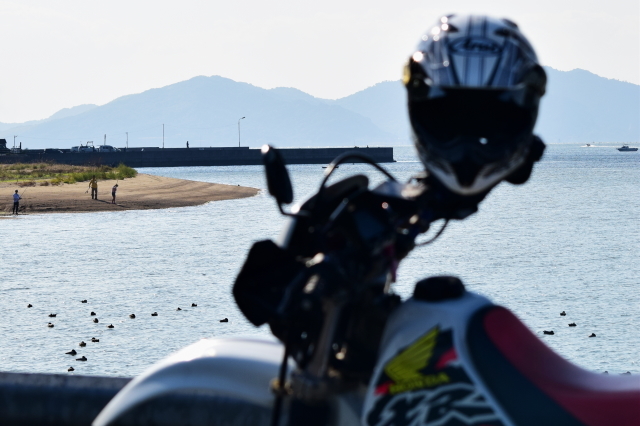 f0368610_20151168.jpg