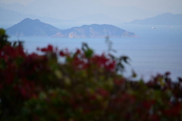 f0368610_20193501.jpg