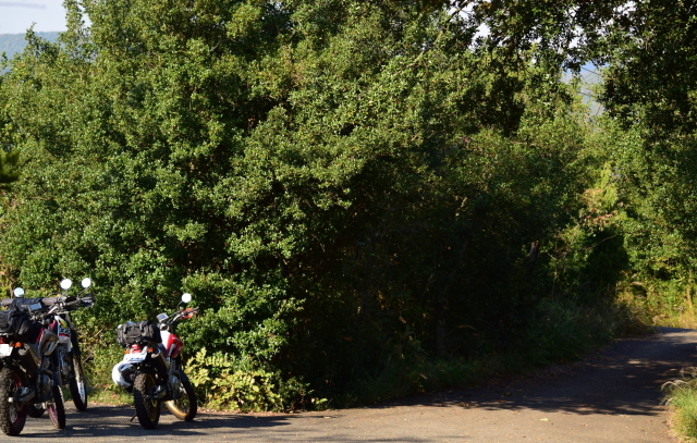 f0368610_20215129.jpg