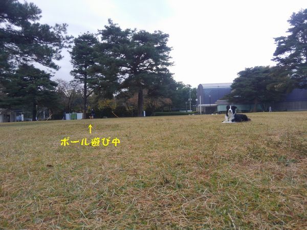 d0224111_11305781.jpg