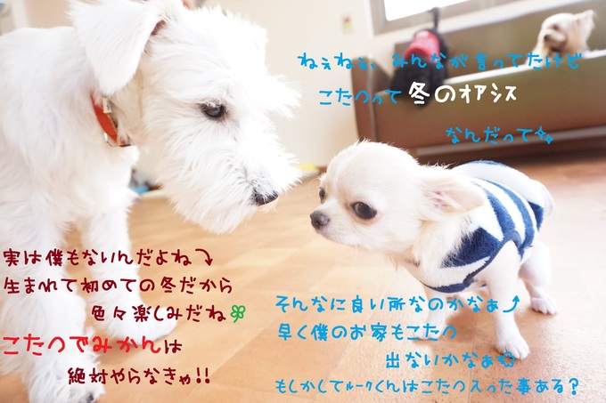 d0220513_149391.jpg