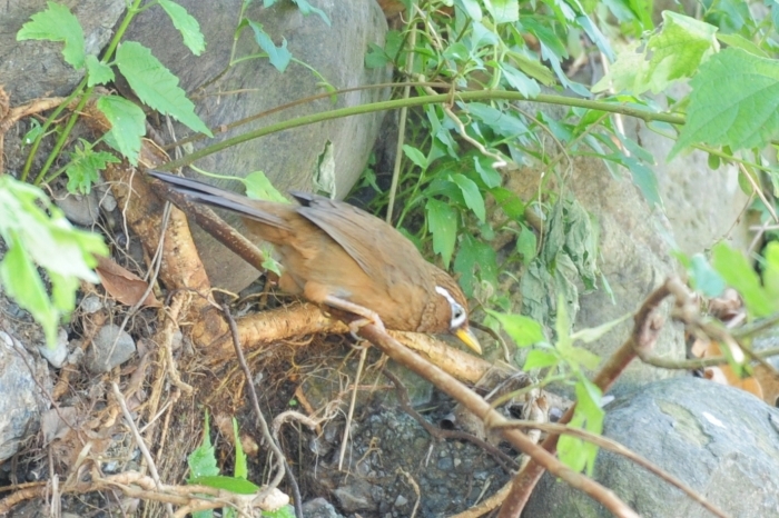 f0133213_20361512.jpg