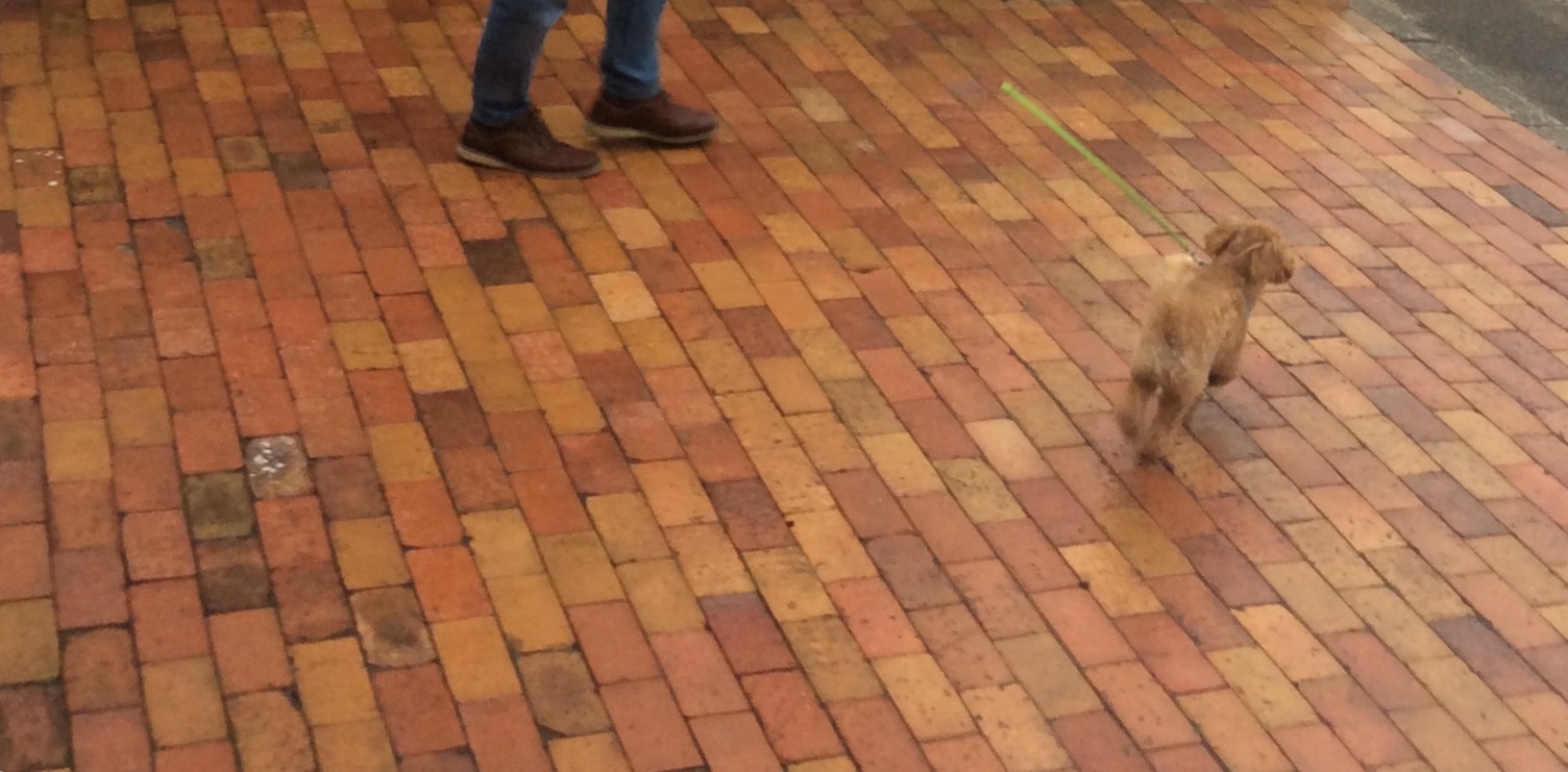 e0052716_9491858.jpg
