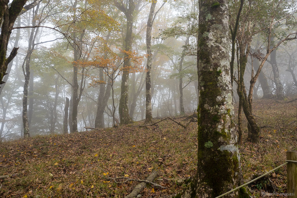 f0249918_21560926.jpg