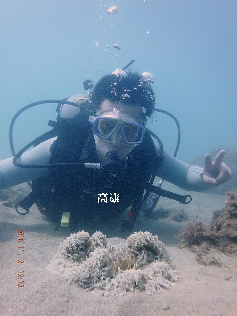 d0342920_731668.jpg