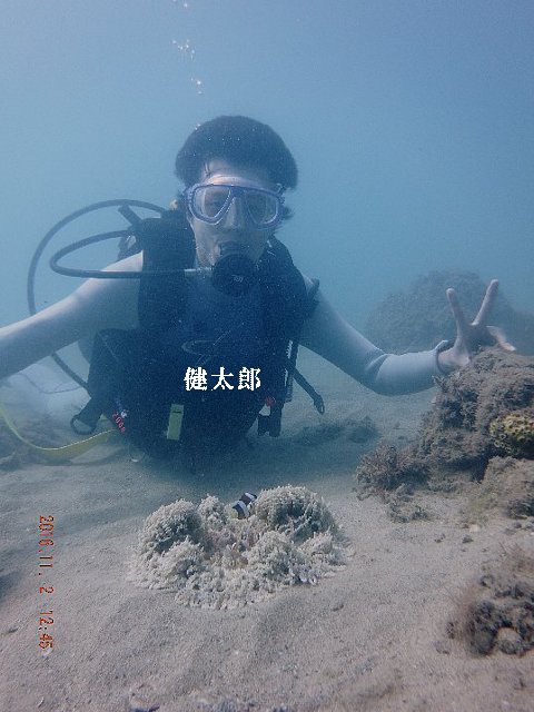 d0342920_731681.jpg