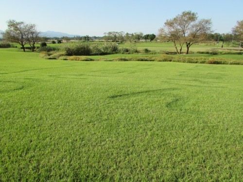 f0139520_20505537.jpg