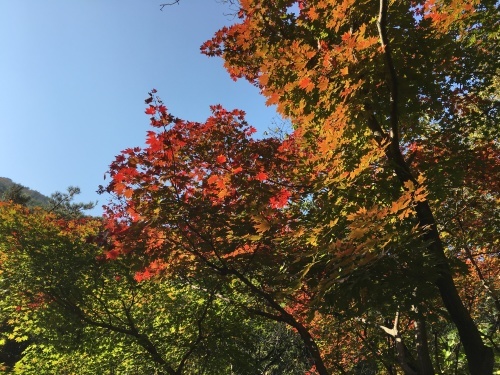 b0132630_21083489.jpg