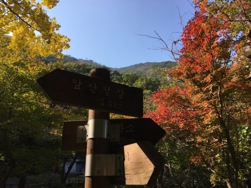 b0132630_21084918.jpg