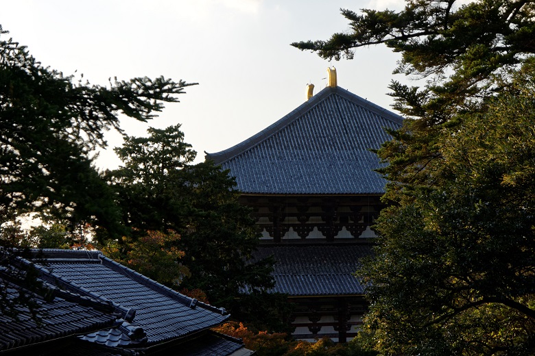 f0274536_22392094.jpg