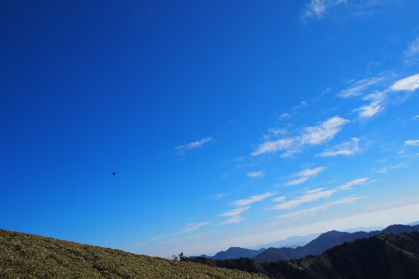 b0149340_2264246.jpg