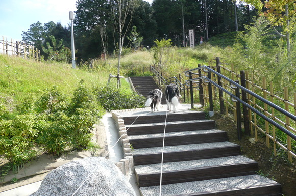 c0147241_17435088.jpg