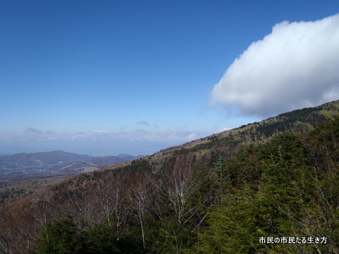 d0182245_22451950.jpg