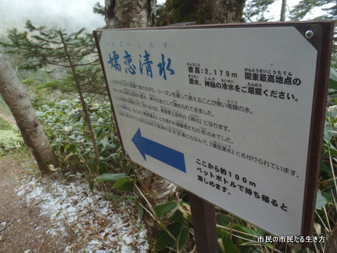 d0182245_22523614.jpg