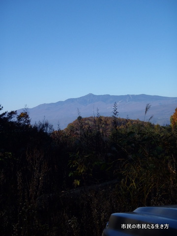 d0182245_23501795.jpg