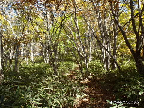 d0182245_23594951.jpg