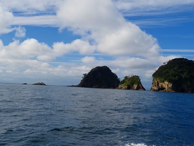 d0131847_21123573.jpg
