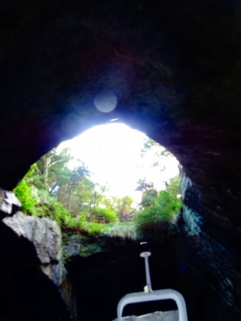 d0131847_21131491.jpg