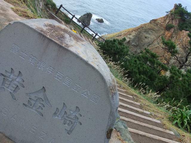 d0131847_21191760.jpg