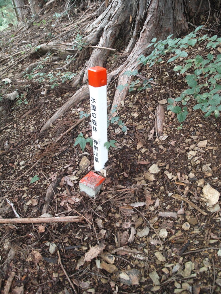 c0008948_10575551.jpg