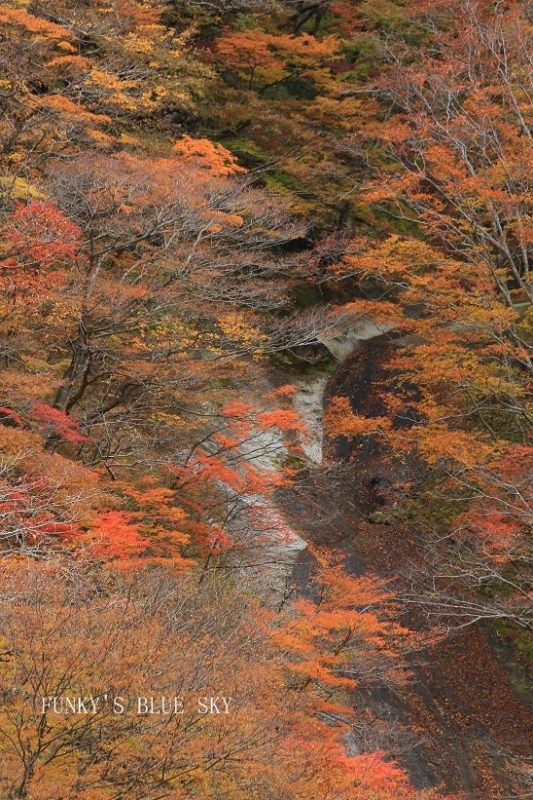 c0145250_19290661.jpg