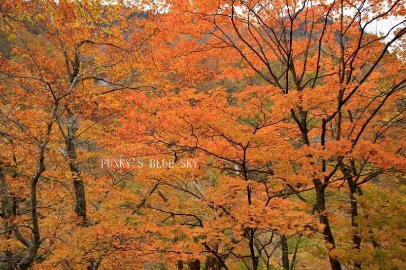 c0145250_19291191.jpg