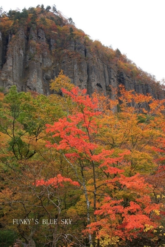 c0145250_19292862.jpg