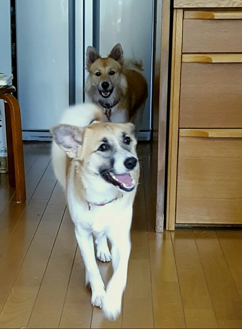 f0046854_22355077.jpg