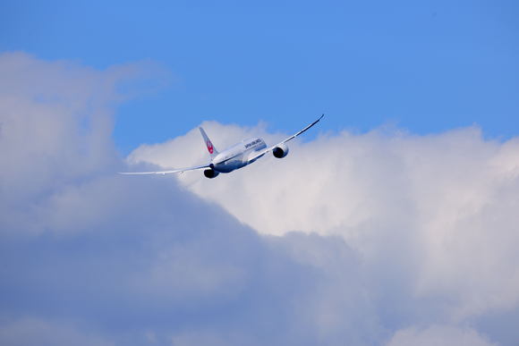 e0216857_1095176.jpg