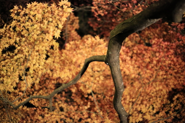 c0251759_20240670.jpg