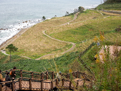 e0088260_21455912.jpg
