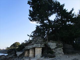 d0045362_20045311.jpg