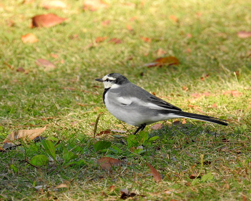 c0305565_17313131.jpg
