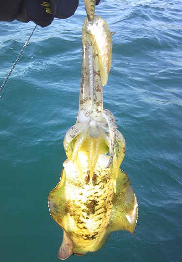 e0108765_1733179.jpg