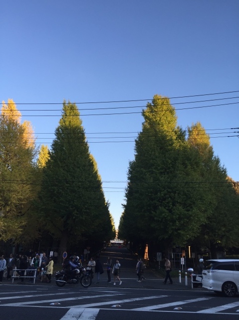 e0232266_19333811.jpeg