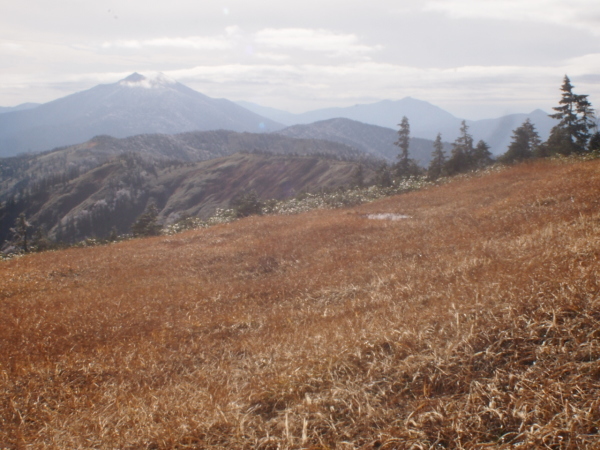 c0321967_11482274.jpg