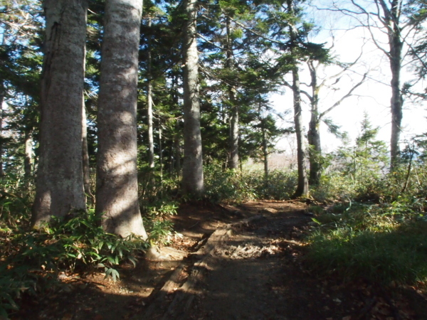 c0321967_11590563.jpg
