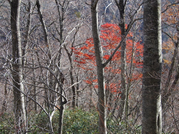 c0321967_12020355.jpg
