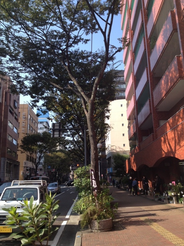 c0360867_10594145.jpg