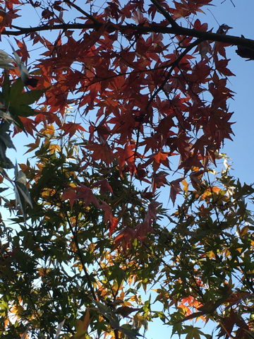 c0102268_17531195.jpg