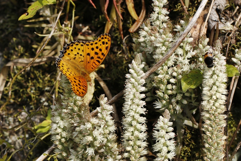 b0088772_09220200.jpg