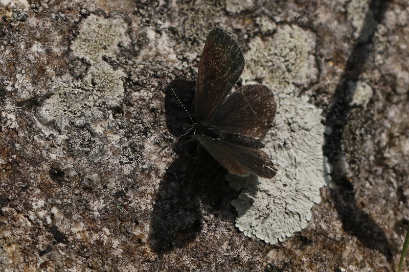 b0088772_09280378.jpg