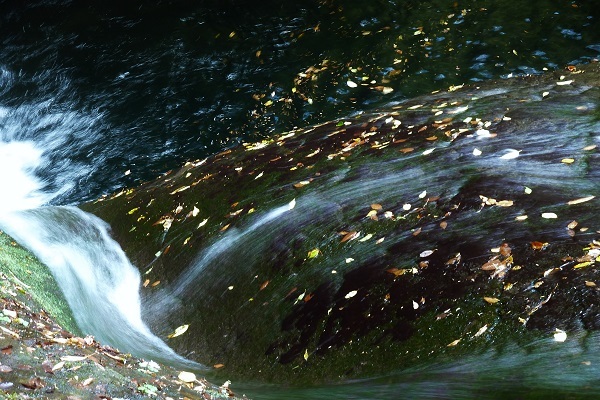 b0326576_14161651.jpg