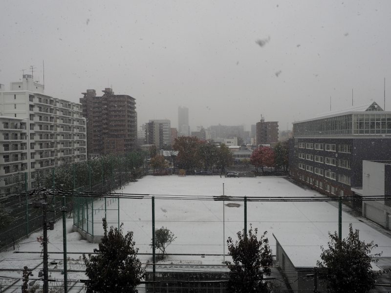 c0183777_835967.jpg